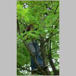 p1010149 [800x600].jpg